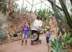 A family walking through the Mitchell Park Domes admiring the flora.