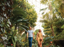 Two adults walk along a lush indoor garden path beneath a glass-domed ceiling, surrounded by tall palms, ferns and tropical plants inside a conservatory.