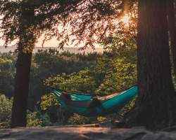 Hammock