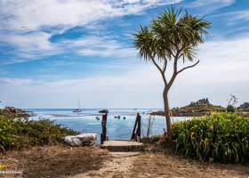 A view of Old Town Beach from the steps