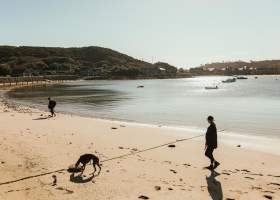 Woman walking along beach with dog