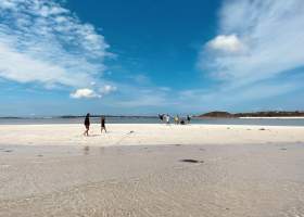 Family walking on a beach