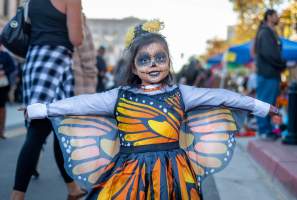 Dia de los Muertos in Santa Ana: Event Guide & Local Tips