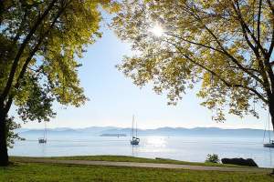 Sailboats on the lake
