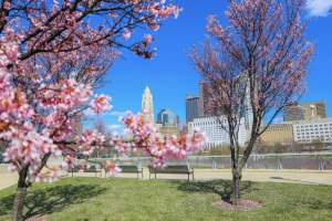 National Geographic Names Columbus Among Best Places to See Cherry