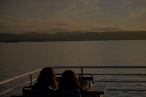 couple Enjoying the lake view