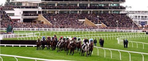 Horses racing at Cheltenham Racecourse