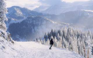 Snowboarder going down the Great Western at Brighton Resort, UT.
