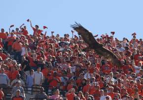 Eagle Flight with Crowd