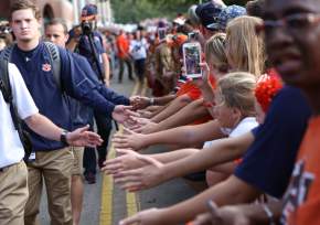 Tiger Walk Hands
