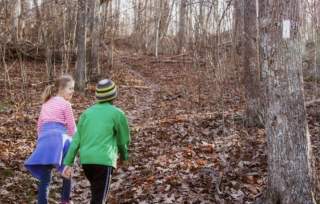 Hikes for Kids