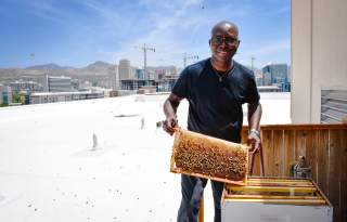 Adesina Daniel Oduntan - Bee-Craft Consult