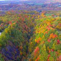 Scenic Fall Leaves and Landscape above Highland Forest