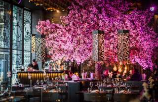Tattu Restaurant Interior with tables and pink blossom tree