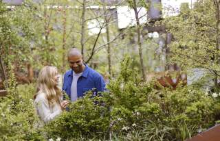 2 people surrounded by greenery at Castlefield Viaduct