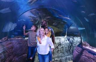 Family walking through tunnel of aqurium with children pointing at animals