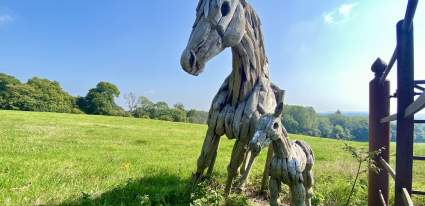 The Petworth Way