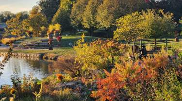 Arboretum Fall