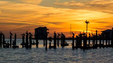 David Hilton pier sunset