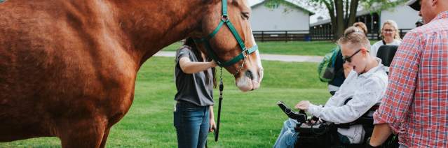 Horse Park Accessibility