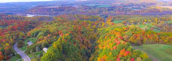 Scenic Fall Leaves and Landscape above Highland Forest