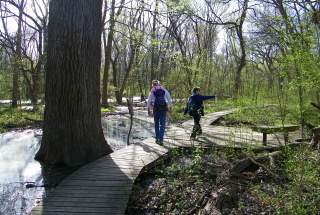 People walking on wooden walkway through Heard Museum wetlands