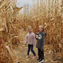 Homestead Pumpkin Patch