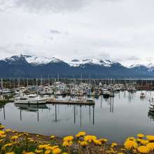 Haines Harbor looking bright even on cloudy days