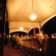 Date Night table trees dark