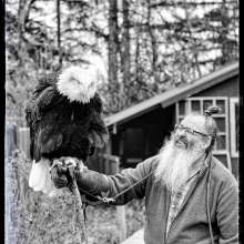 Bald Eagle Feeding