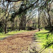 walking trail at Port Royal State Park