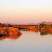 East Wetlands Park at the Colorado River