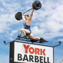 York Barbell Company Weightlifter