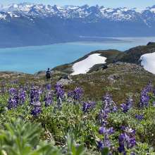 Near the Ripinsky summit