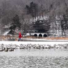 A walker enjoying a winter hike on a snowy trail.