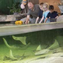 Fort Wayne Children's Zoo: Stingray Bay at the Australian Adventure
