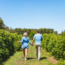 Walking through orchard, Dwellingup