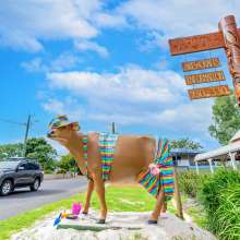 Cow art in Waroona town centre