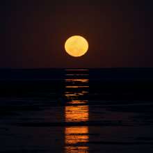 Staircase to the Moon in Roebuck Bay Broome