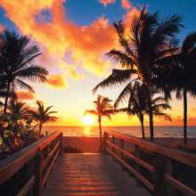 Pier with palm trees at sunset
