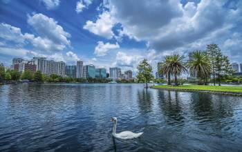Downtown Development Board Downtown Orlando swan in lake