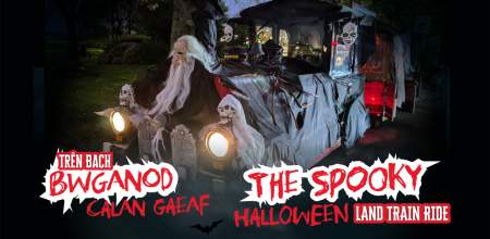 Outdoor Attractions - Halloween Ghost Train