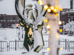 statue of the Milwaukee Bucks logo in snow with holiday lights