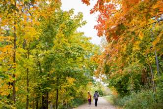 A couple walks through Picnic Point surrounded by tall trees with changing leaves