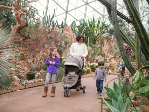 A family walking through the Mitchell Park Domes admiring the flora.