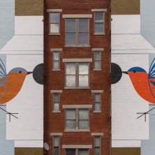 Homecoming (Blue Birds) (photo: Ronald M. Salerno)