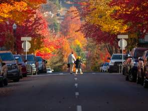 Local Tip - Holiday Events