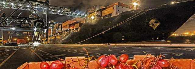 Port Everglades imports grapes from Chile