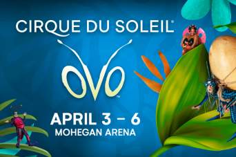 Cirque du Soleil