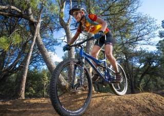 A person in spandex biking gear rides their bike over a dirt mound in a green forest setting